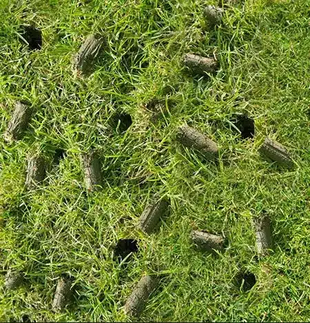 Aeration is the secret sauce for a healthier lawn in Fishers, Indiana.