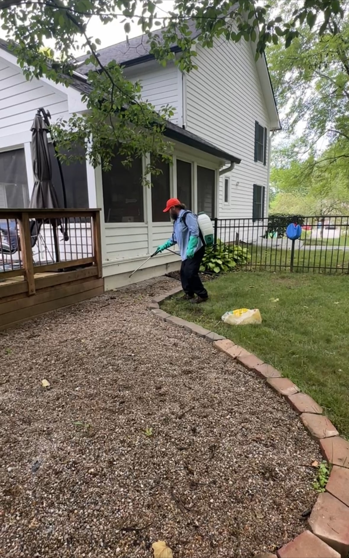 Top 10 Frequently Asked Questions for Pest Control Services in Indianapolis