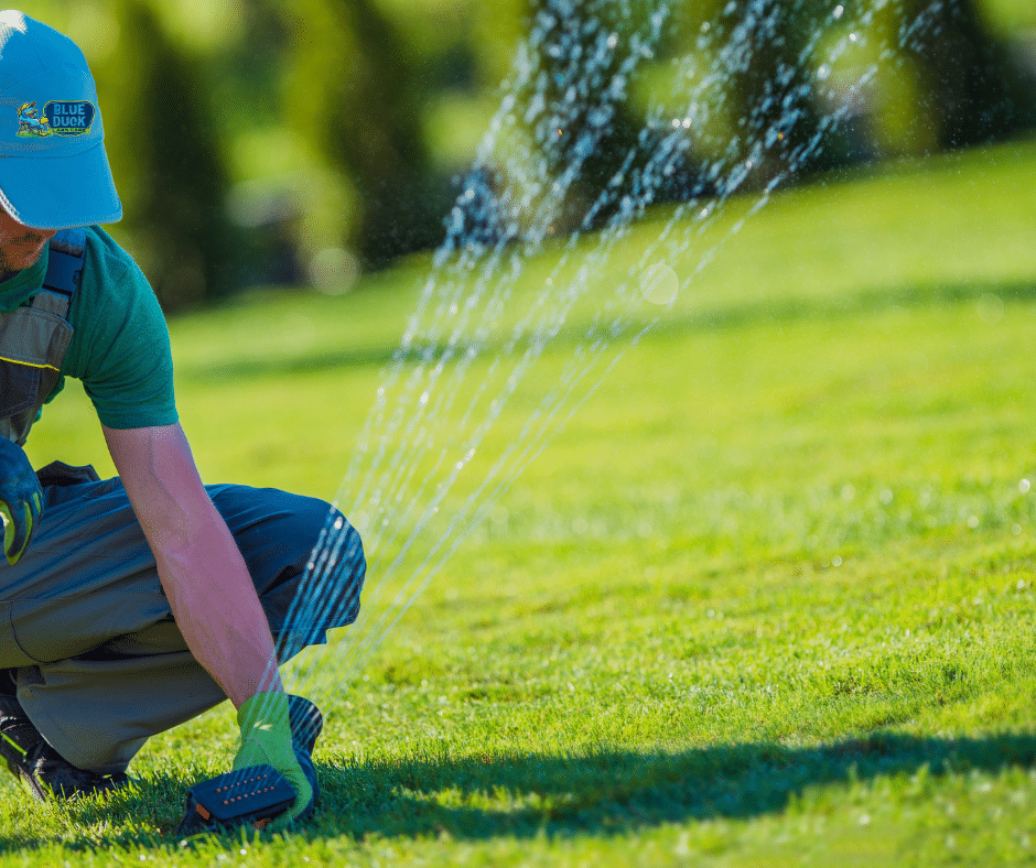 Watering Your Lawn Effectively During Summer