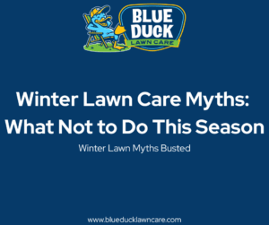 Winter Lawn Care Myths: What Not to Do to Your Grass This Season by Blue Duck Lawn Care