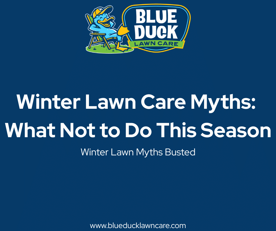 Winter Lawn Care Myths: What Not to Do This Season