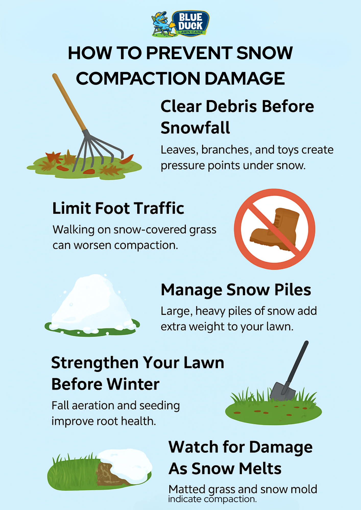 Infographic explaining how to prevent snow compaction damage with five steps: clear debris before snowfall, limit foot traffic, manage heavy snow piles, strengthen the lawn before winter, and watch for damage as snow melts by Blue Duck Lawn Care.