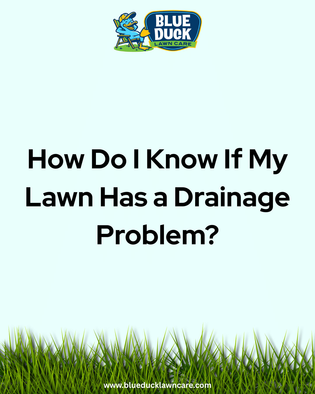 How Do I Know If My Lawn Has a Drainage Problem?