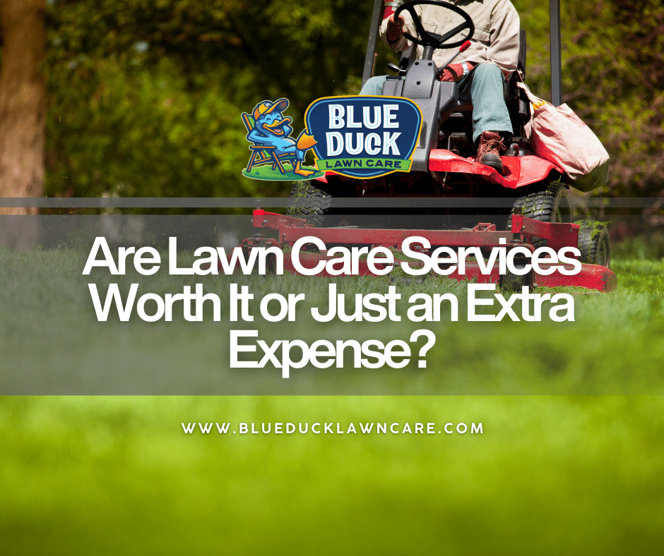 A Blue Duck lawn care technician performing professional lawn care services on a healthy suburban Indianapolis lawn.