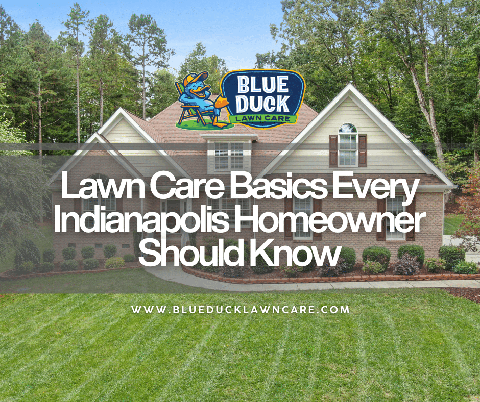 Lawn Care Basics Every Indianapolis Homeowner Should Know