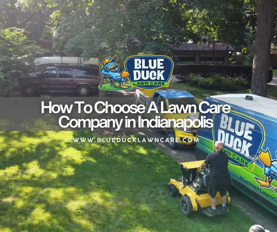 Blue Duck Lawn Care trucks and technicians ready for service, demonstrating the importance of commercial-grade equipment and proper credentials when deciding how to choose a lawn care company in Indianapolis.