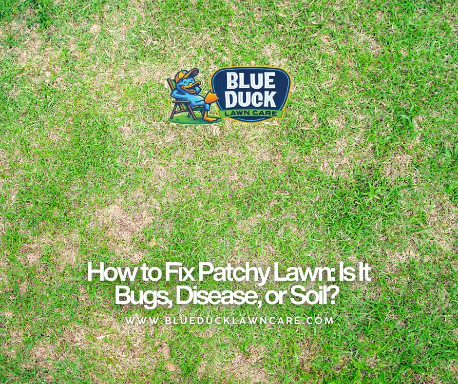 A photo of a patchy lawn of a home in Carmel, Indiana showing brown spots and thinning grass, illustrating common problems covered in our guide on how to fix a patchy lawn.