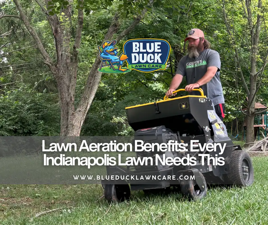 Blue Duck technician operating aerator providing lawn aeration benefits for Indianapolis families.