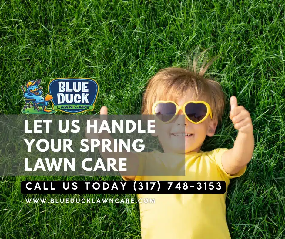 Child enjoying lawn maintained with expert spring lawn care guide by Blue Duck Lawn Care in Indianapolis.