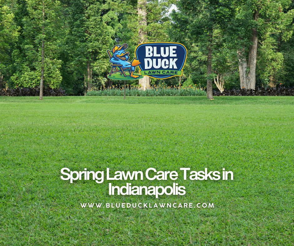A beautiful, neat Indianapolis lawn maintained by Blue Duck Lawn Care, showcasing the results of completing essential spring lawn care tasks.