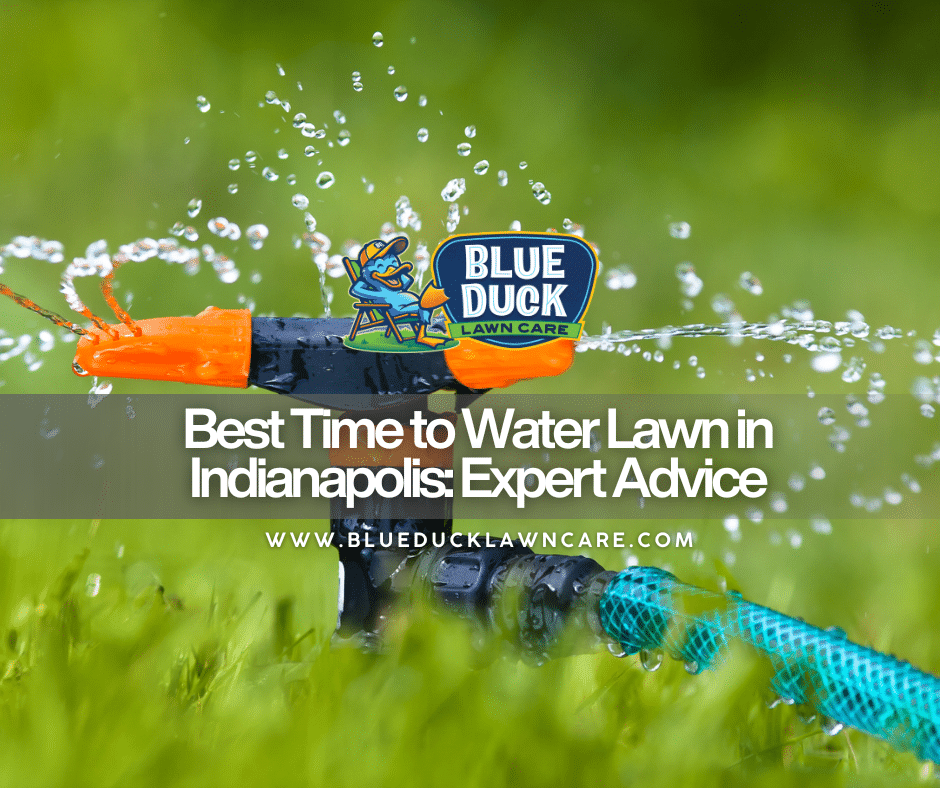 Sprinkler watering lawn at sunrise showing best time to water lawn for Indianapolis homeowners.