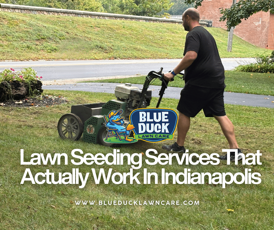 Blue Duck Lawn Care technician performing professional lawn seeding services for a home in Indianapolis.