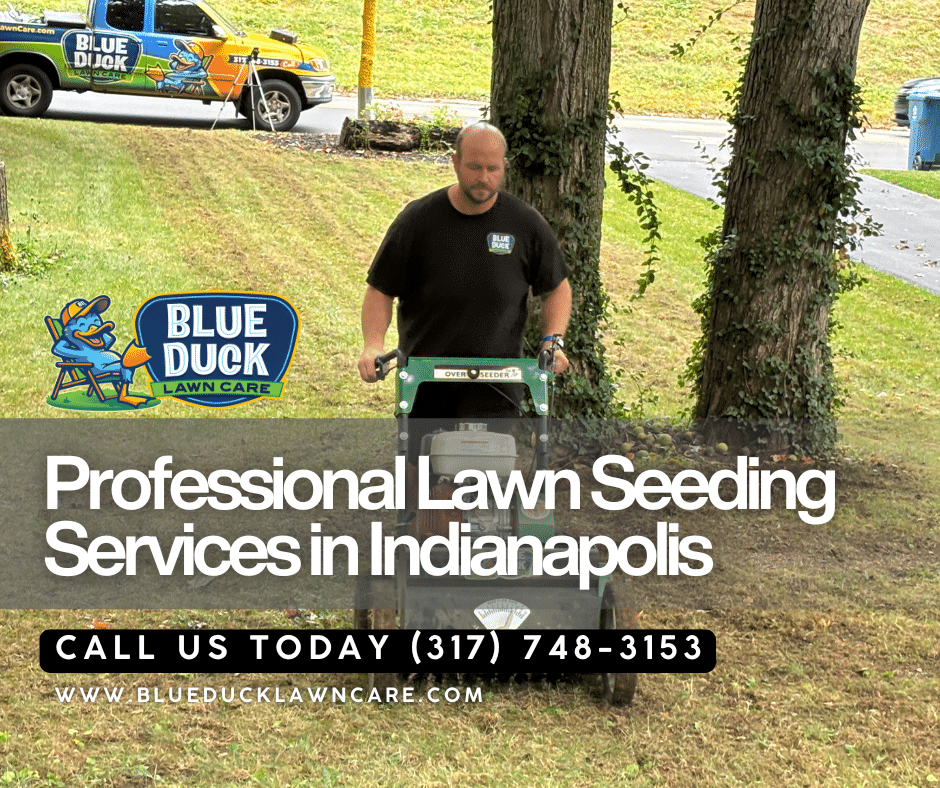 Blue Duck Lawn Care professional using slice seeding method for best lawn seeding services that actually work in Indianapolis.