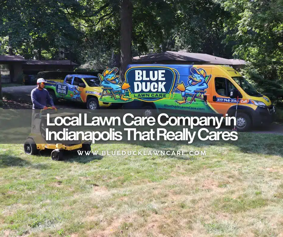 Blue Duck Lawn Care technician caring for lawn showing what a local lawn care company delivers for Indianapolis homeowners.