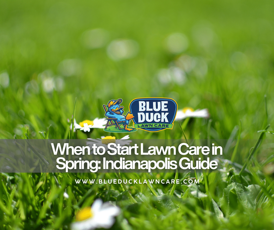 Beautiful vibrant lawn in Indianapolis achieved by following Blue Duck Lawn Care's expert advice on when to start lawn care in spring.