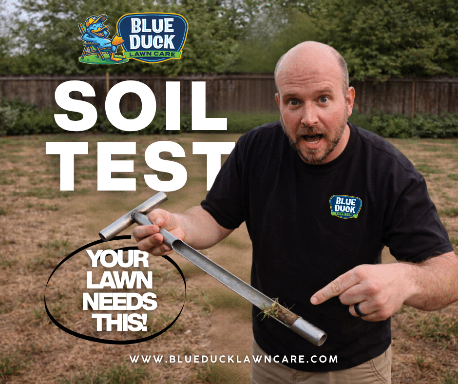 Blue Duck technician taking soil sample across multiple lawn areas for accurate Indianapolis soil testing.