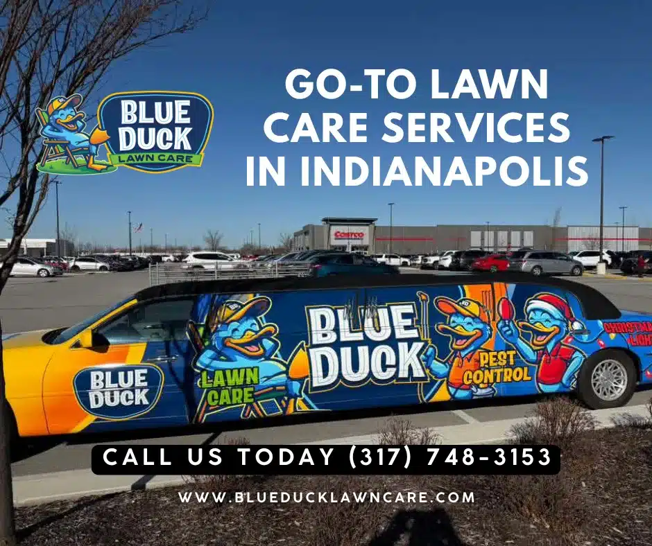 Blue Duck lawn care limo parked in Indianapolis near local store ready to serve as the go-to lawn care service in Central Indiana.