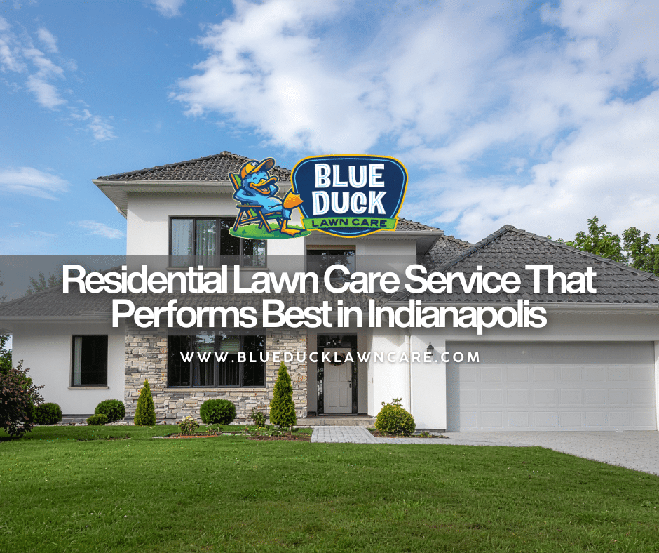 Residential Lawn Care Service That Performs Best in Indianapolis