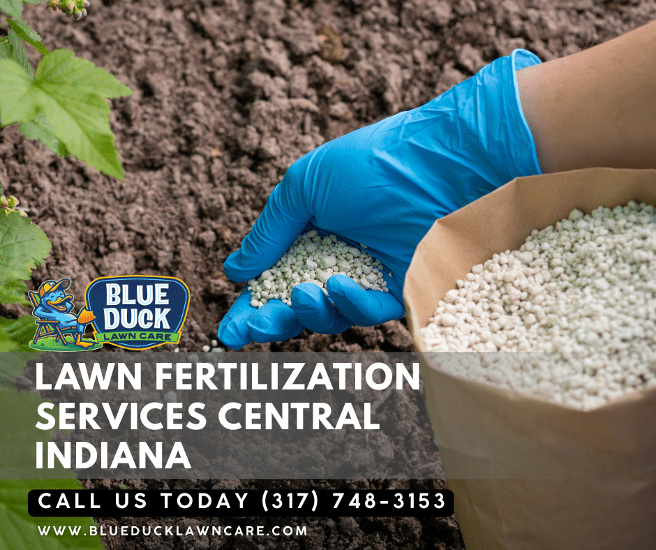 Blue Duck Lawn Care technician applying lawn fertilization highlighting the benefits of supporting local lawn care in Central Indiana.