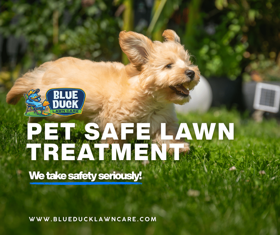 Pet Safe Lawn Treatment for Indianapolis Pet Lovers
