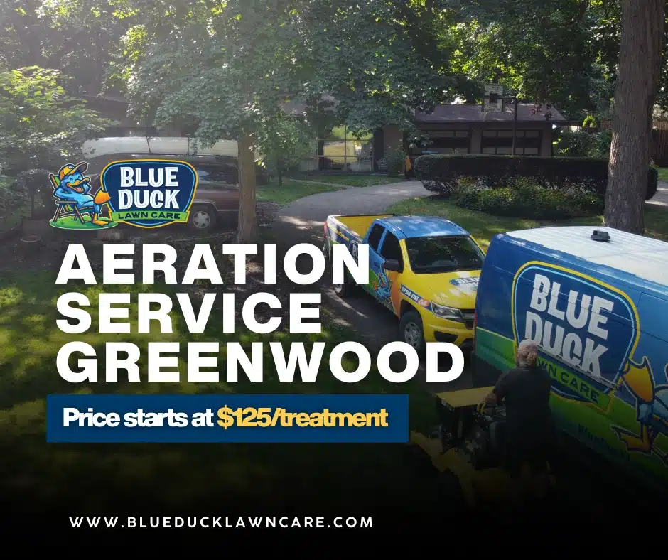 Aeration Service Greenwood Lawns Need To Relieve Compaction