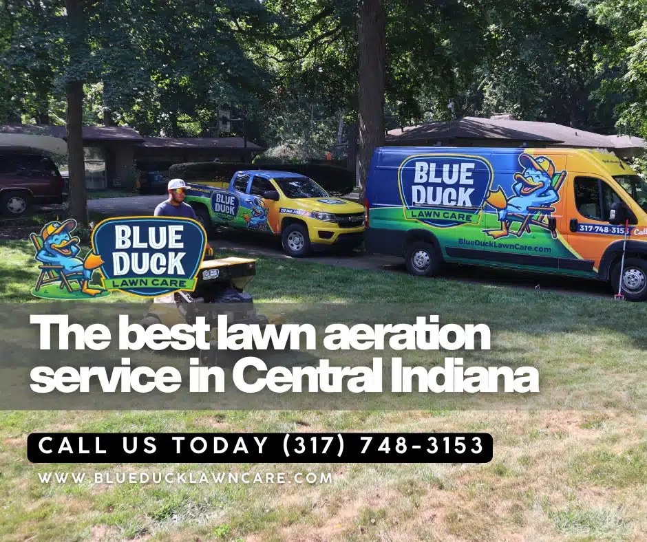 Blue Duck Lawn Care technician performing lawn aeration during autumn as it is the best time for lawn aeration in Indiana.