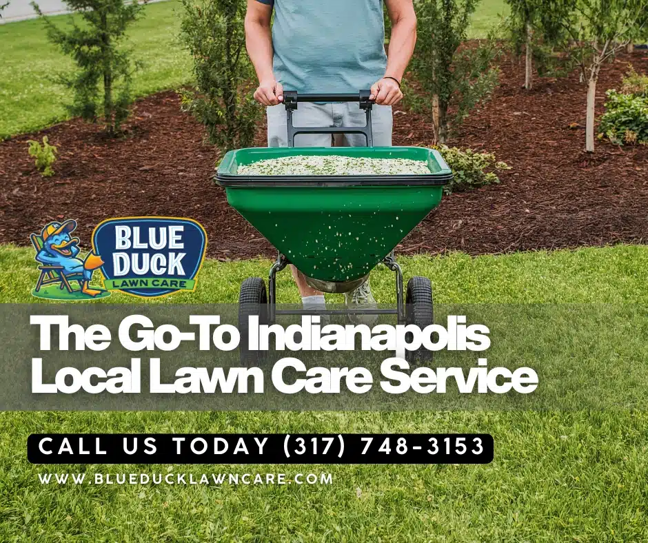 Thick green Indianapolis lawn proof that Indy local lawn care works better than[ out-of-state corporate owned services.
