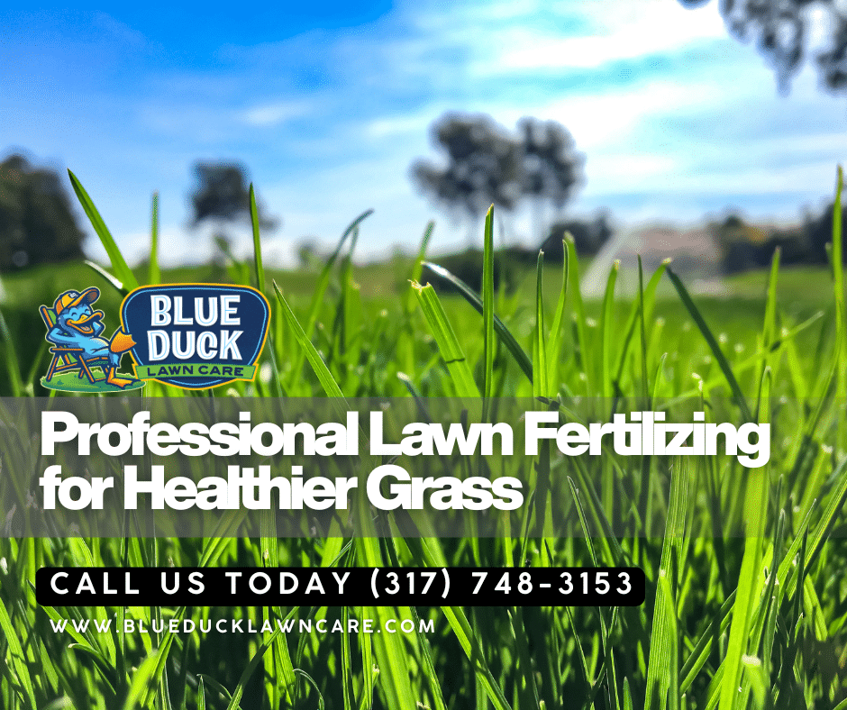 Rich, green, healthy Indiana lawn achieved through professional lawn fertilizing by Blue Duck Lawn Care.