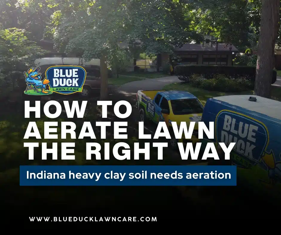 Blue Duck team performing how to aerate lawn service for Central Indiana homeowners