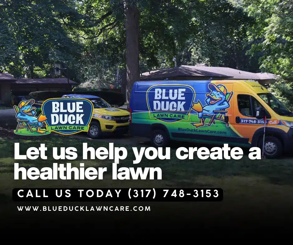 Blue Duck crews at work building healthier lawns demonstrating how to prevent lawn diseases and pests with professional lawn care.