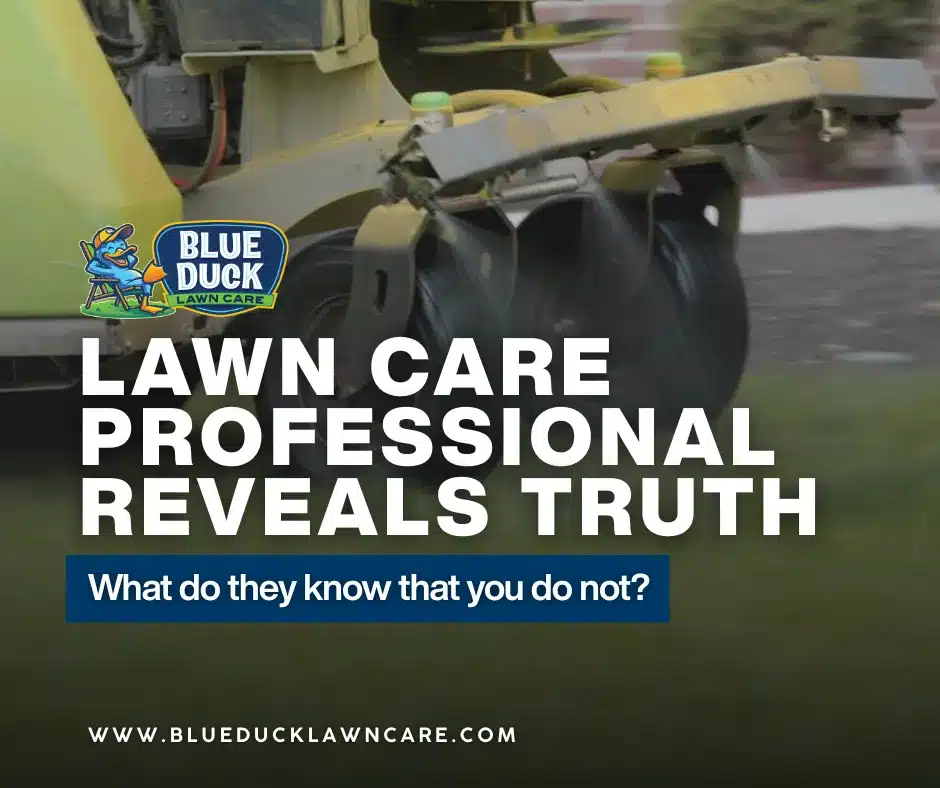 Lawn care professional teaching homeowners in Carmel, Indiana the right way to water