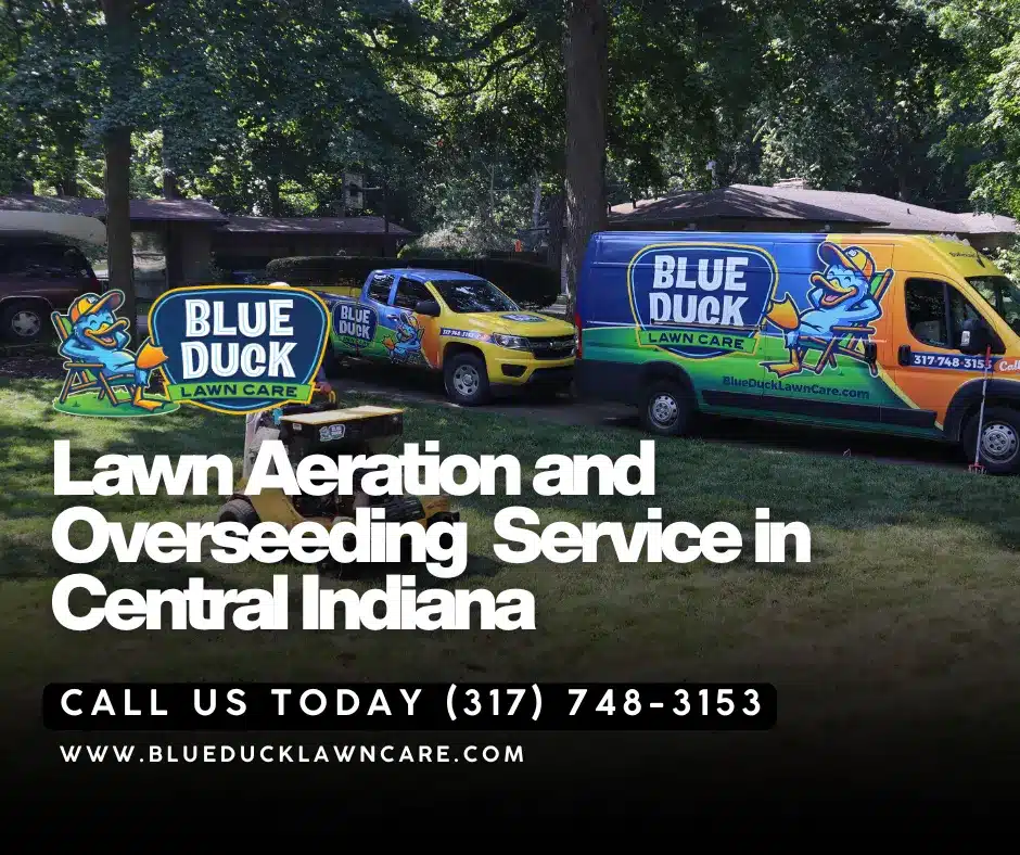 Blue Duck Lawn Care technician performing lawn aeration service and lawn seeding following lawn care tips for fall in Indianapolis.