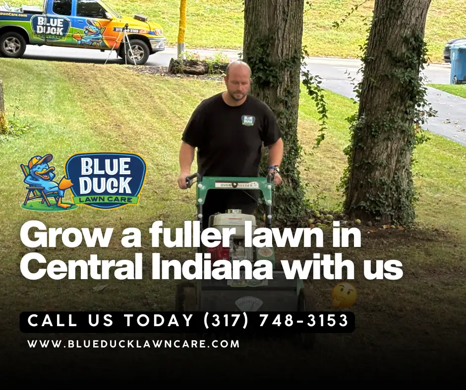 Blue Duck lawn seeding service technician planting grass seed in an Indianapolis lawn.
