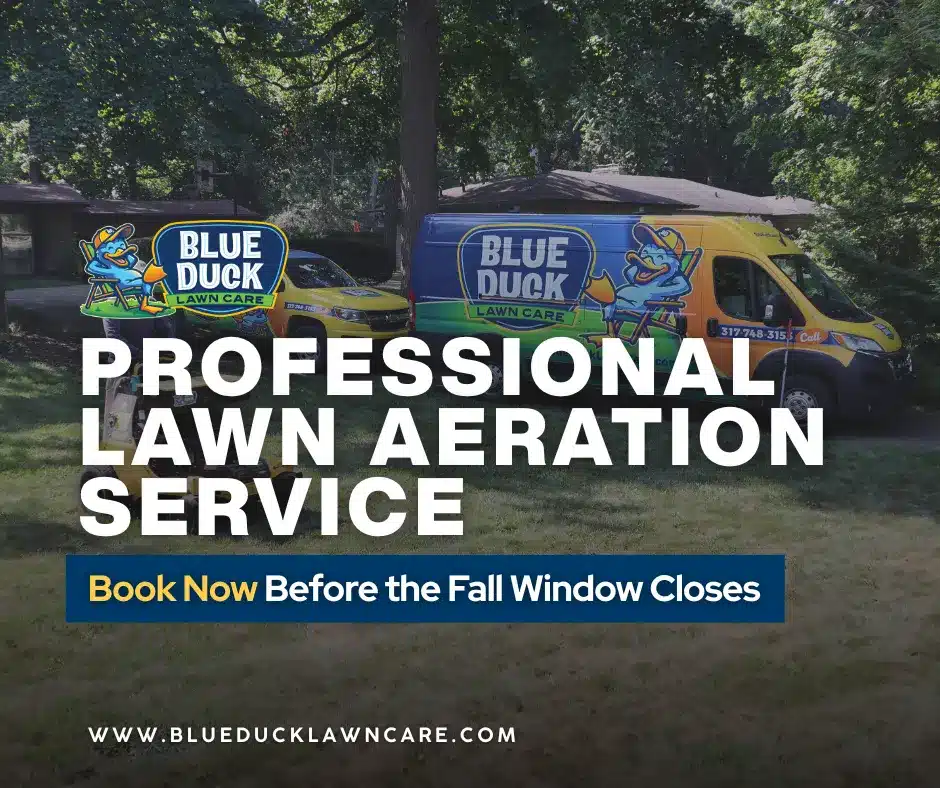 Blue Duck Lawn Care's professional lawn aeration service in action on a lawn in Carmel, Indiana.
