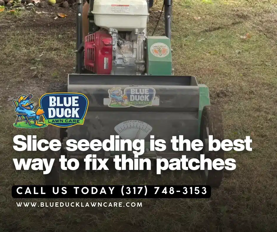 Slice seeding service cutting grooves into soil in Fishers, Central Indiana for direct seed-to-soil contact resulting to more thicker, healthier lawn.