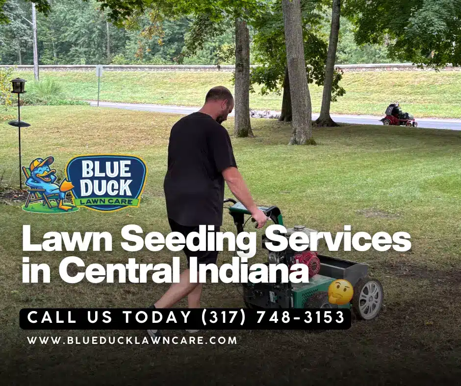 Blue Duck lawn care pro using slice seeder during the best window when to overseed for Central Indiana homeowners.