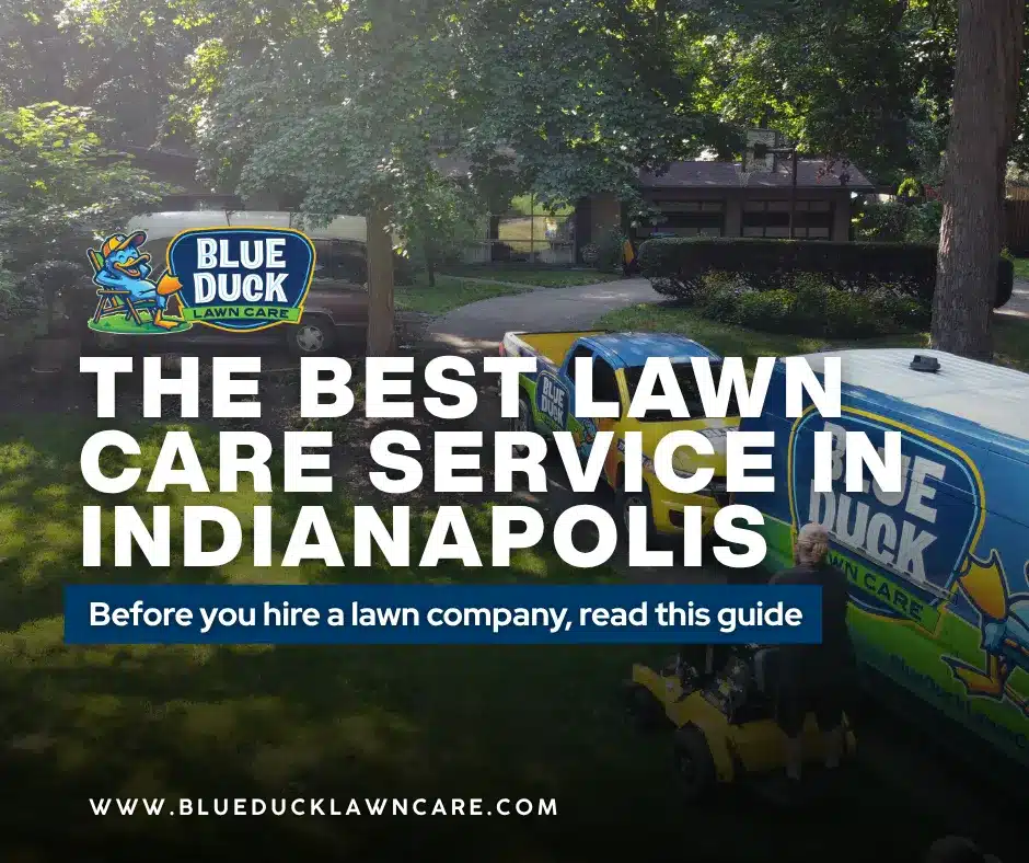 Blue Duck Lawn Care technicians at work providing the best lawn care service in Indianapolis with aeration and overseeding.