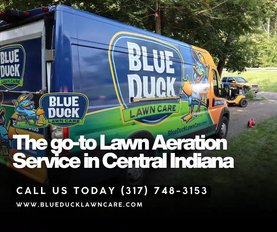 Blue Duck lawn aeration service with stinger aerator during peak lawn aeration season in Fishers, Northside of Indianapolis.