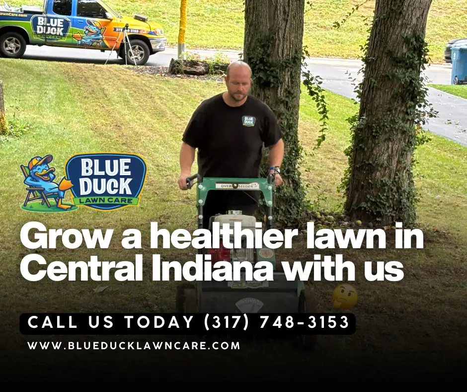 Blue Duck Lawn Care technician performing lawn slice seeding service as one of the key lawn care green flags Indianapolis homeowners should look for from a lawn care company.