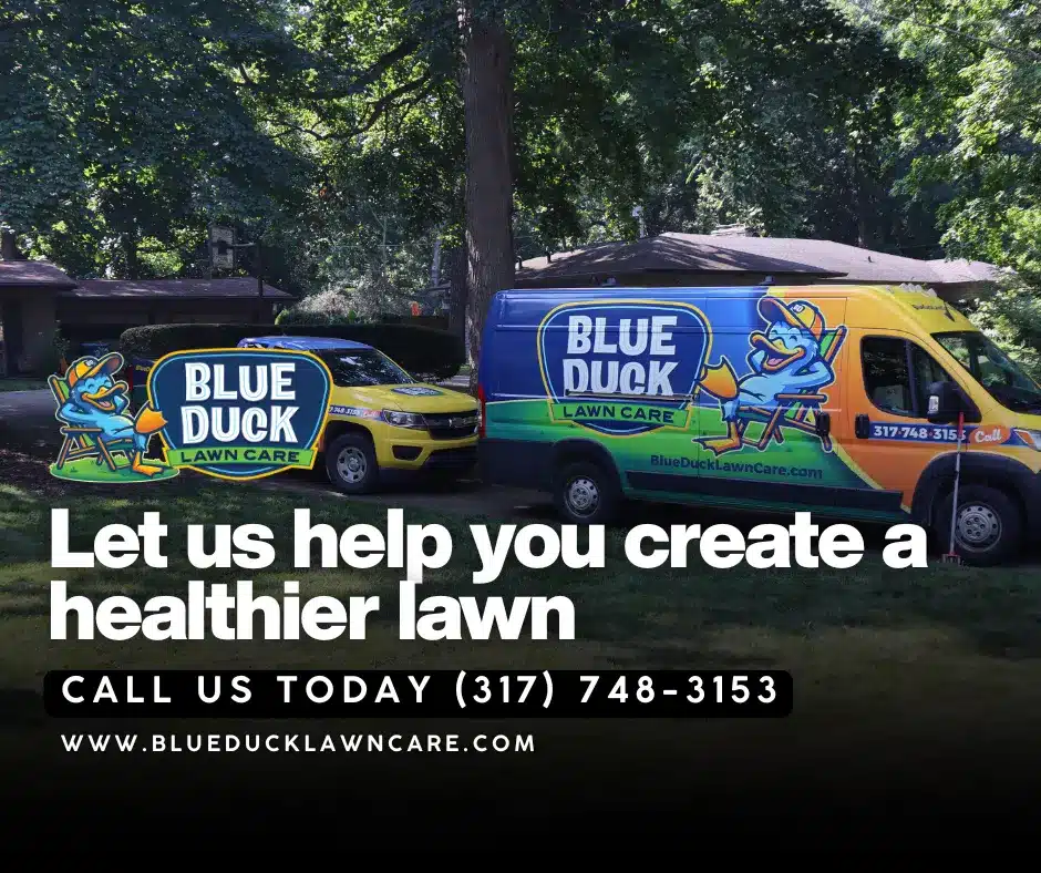 Blue Duck professional lawn care service in action on Indianapolis lawn with aeration and fertilization.