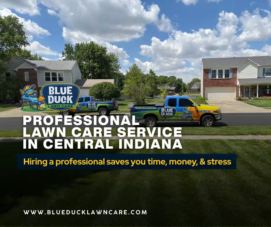 Blue Duck professional lawn care service applying fertilization and seeding on Indianapolis lawn.
