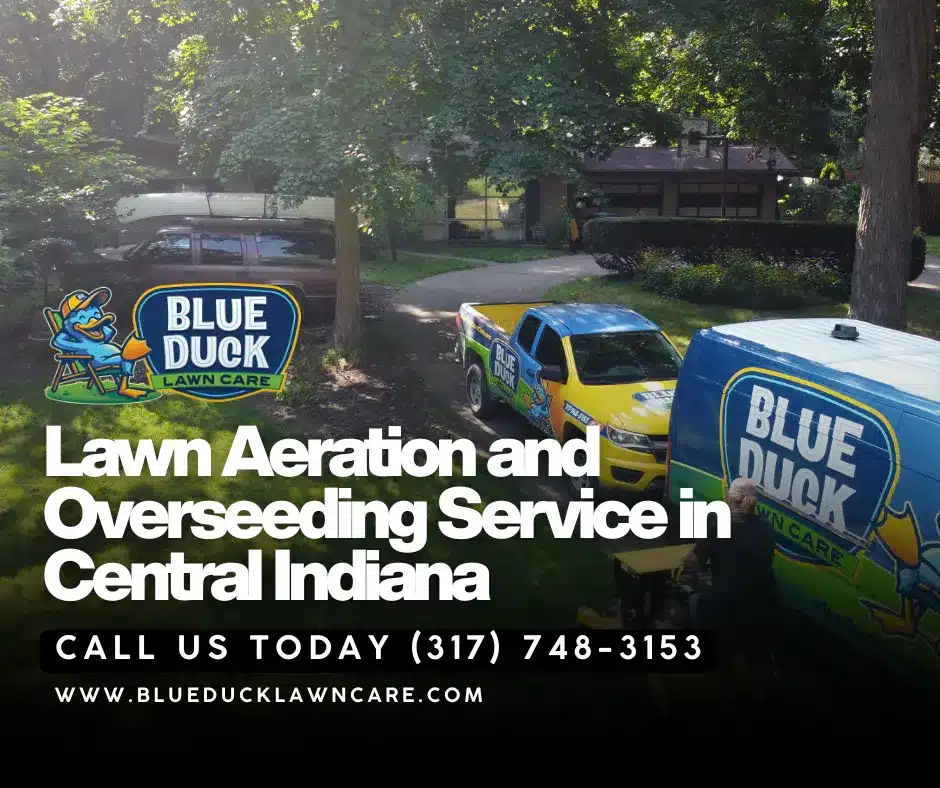 Blue Duck Lawn Care provides transparent aeration and overseeding cost for Central Indiana lawns.