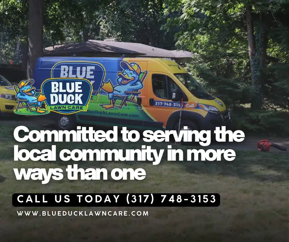 Blue Duck Lawn Care specialist performing lawn care service in Carmel, Central indiana highlighting how to grow thick grass through aeration and seeding.