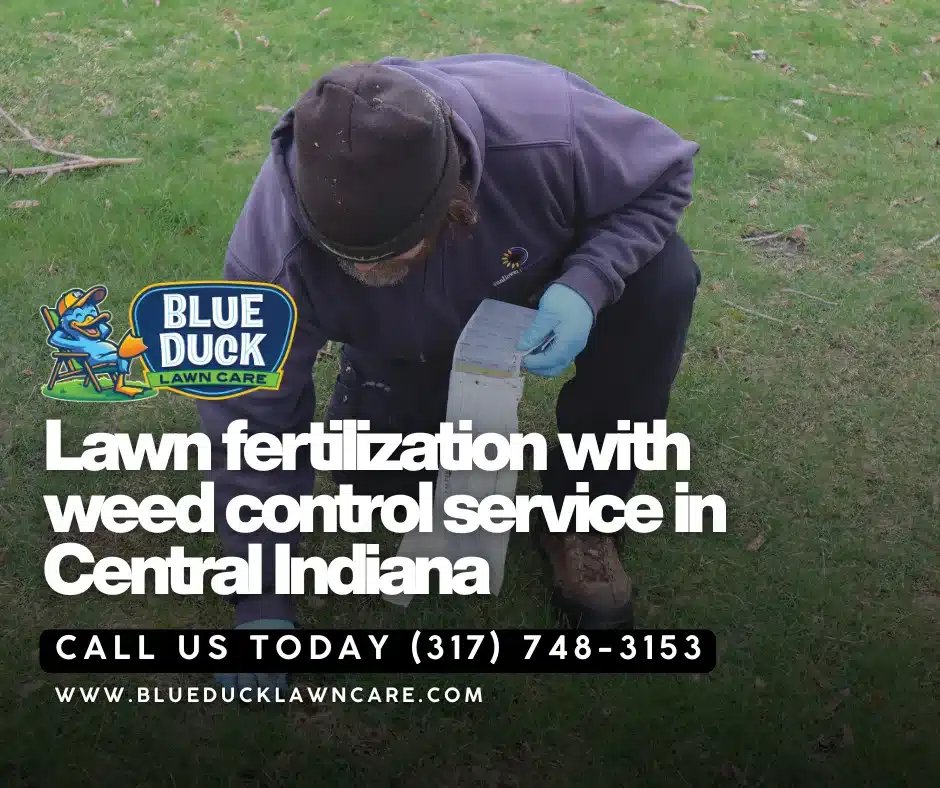 Blue Duck lawn care specialist performing weed control service on a Zionsville lawn showing how to kill lawn weeds effectively.