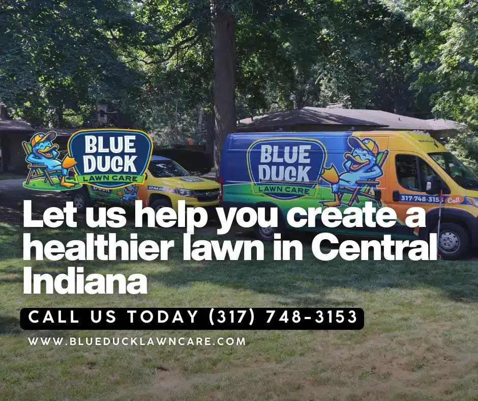 Blue Duck technician performing lawn aeration service on Indianapolis lawn showing how to make lawn green through soil decompaction