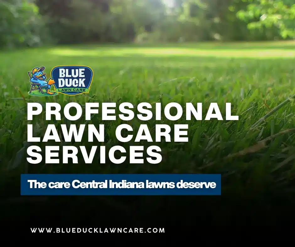 Lush green lawn in Carmel, Central Indiana after professional lawn care services from Blue Duck Lawn Care with fertilization, aeration, and top dressing