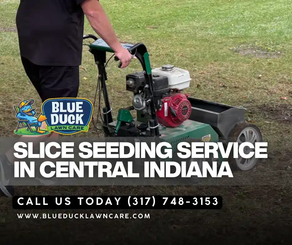 Blue Duck Lawn Care technician performing slice seeding on Greenwood lawn at the optimal time when to seed lawn for thick grass