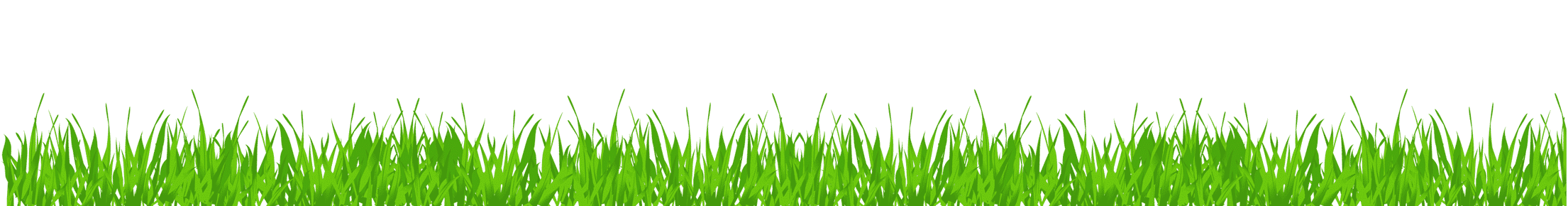 yard fertilizer service Indianapolis