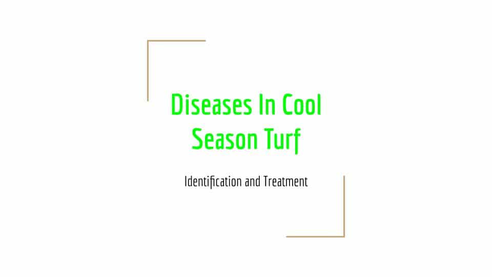 Fungus Among Us! Cool Season Lawn Diseases