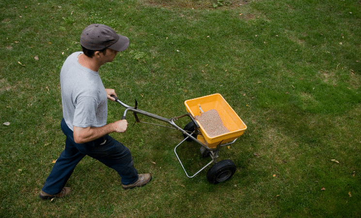 3 Benefits of Lawn Fertilization